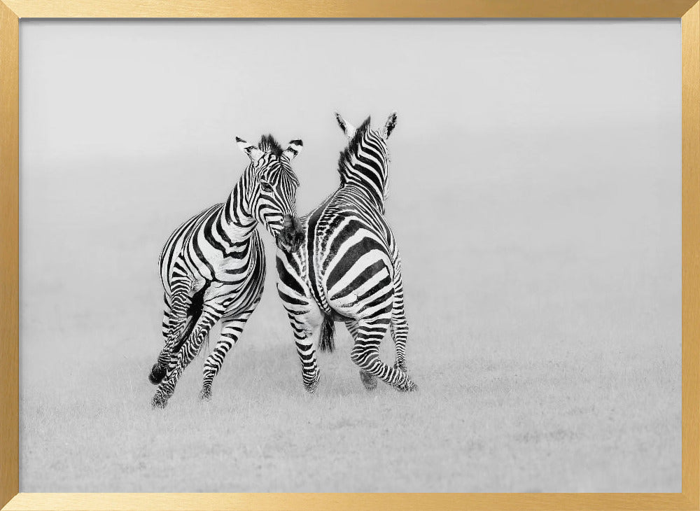 Playing or Fighting? Poster