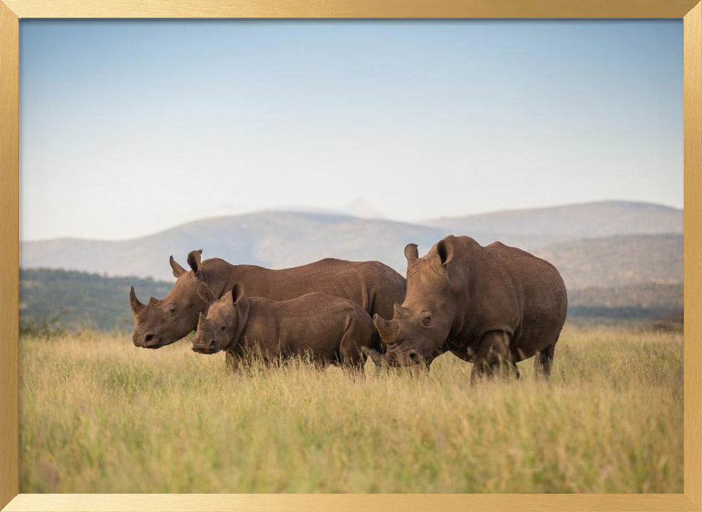 DINO COMPOSITION Poster