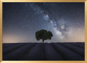 Tree and Milky Way Poster