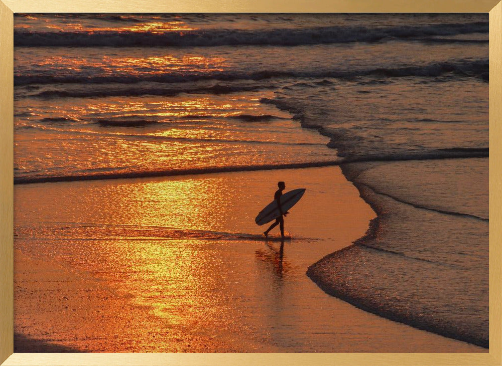 The Sunset Surfer Poster