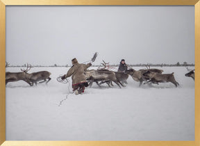 Jigori hunts reindeer I Poster