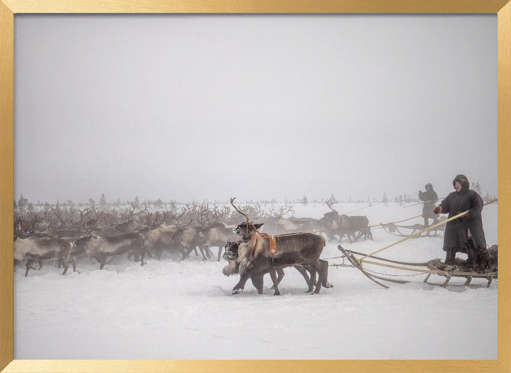 Arkadij and Kolja riding the herd Poster