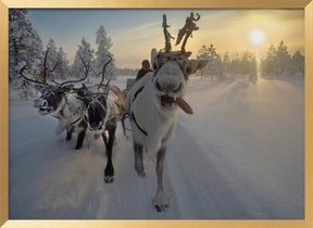 Frozen ride in tundra Poster