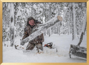 Kostya prepares firewood Poster