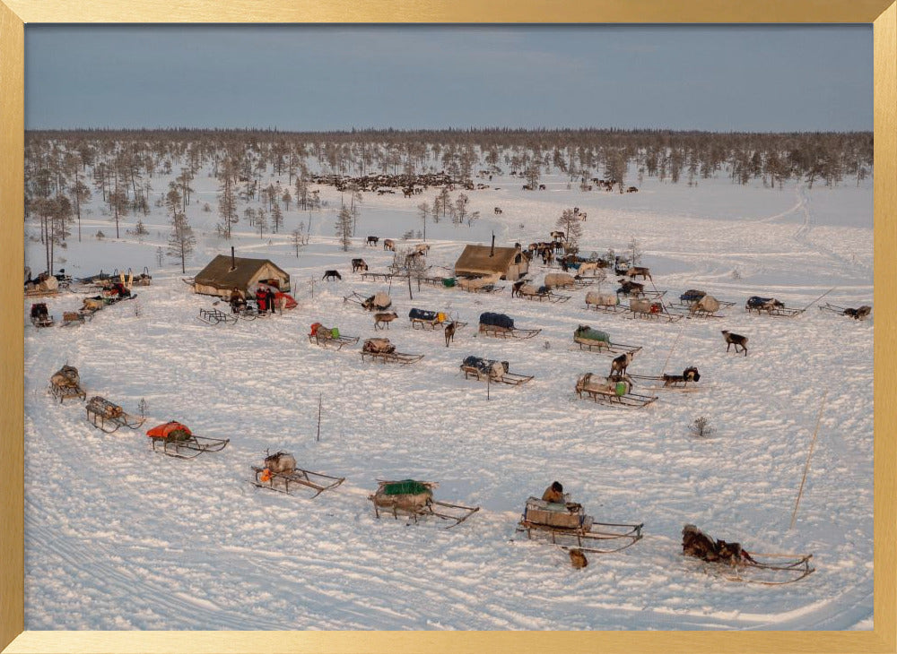 Morning in Nenets camp Poster