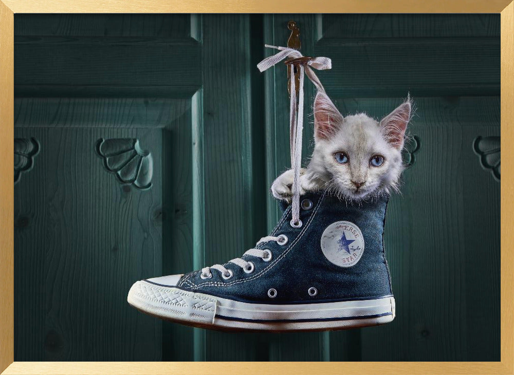 CatShoe Poster