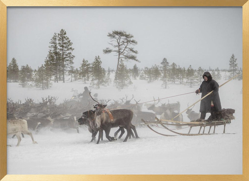 Arkadij and Kostya are riding the herd Poster