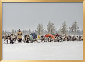 Women from the 8th Brigade on their way to the new camp Poster