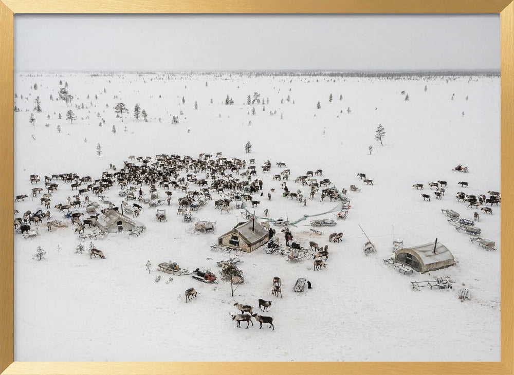 Campsite of 8th Nenet brigade Poster