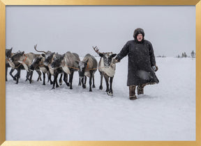 Arkadij and his reindeers Poster