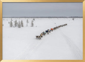 Crossroads in the tundra Poster