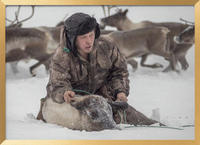 Kolya catches reindeer Poster