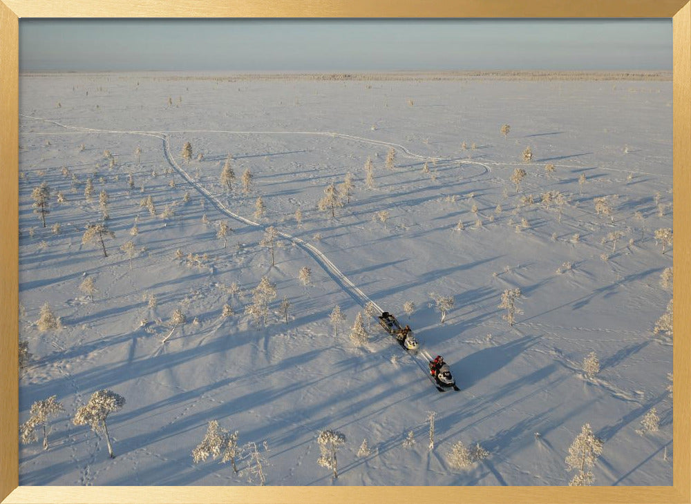 Lost in the tundra Poster