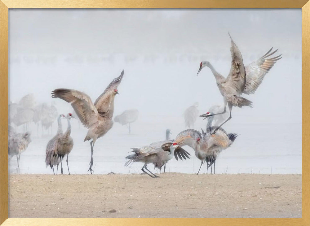 Dancing in The Foggy Morning Poster