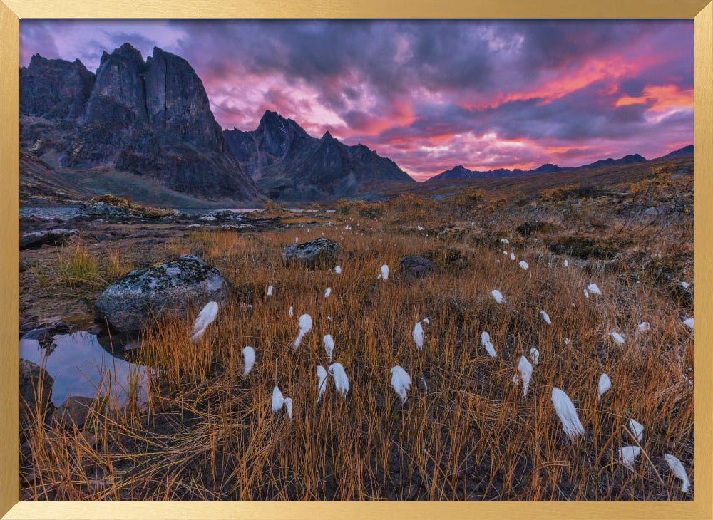 Fall Color in the Mountain Poster