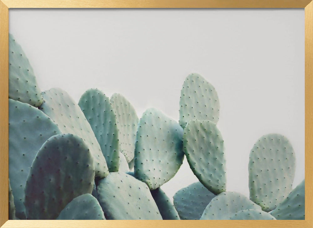 Pastel Cactus Poster