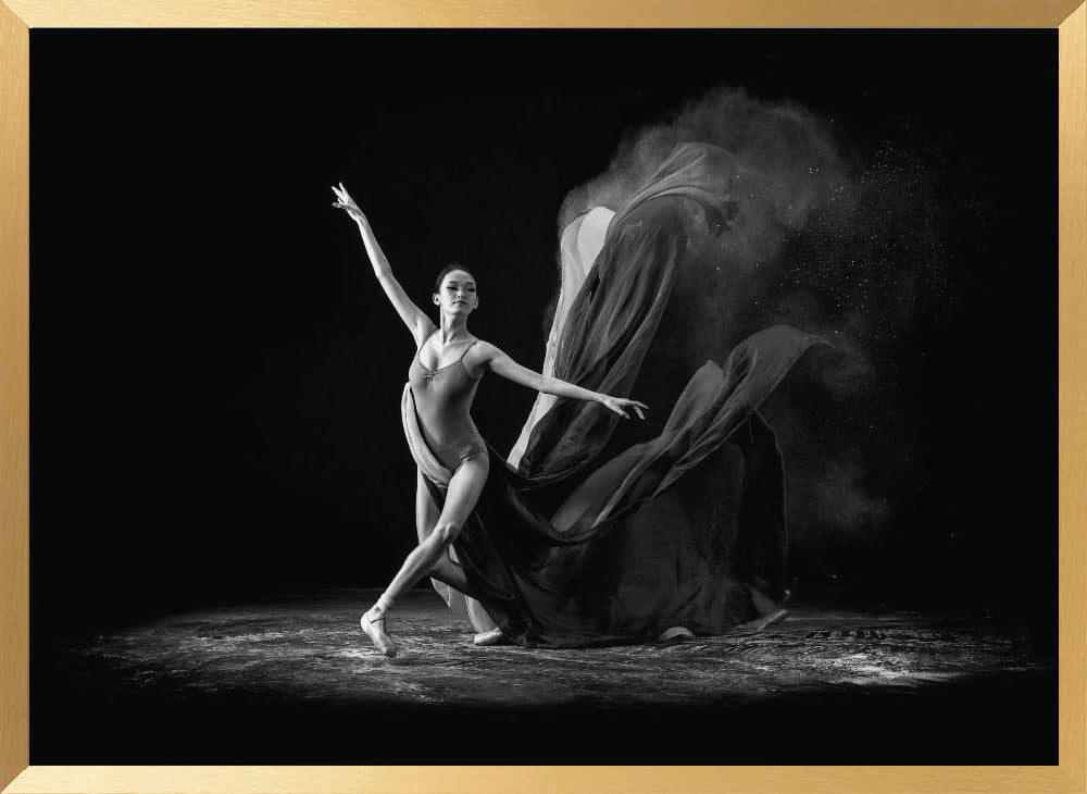 Step of Balerina Poster