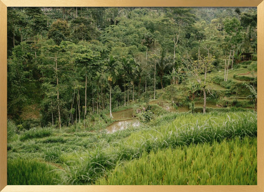 Tetebatu Lombok Poster