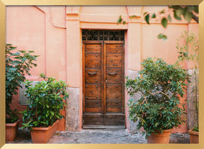 The Trastevere door Poster