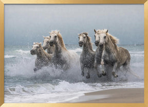 Wild horses Poster