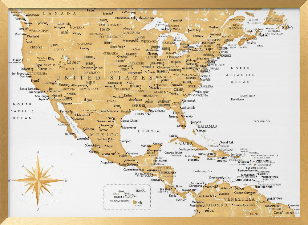 Golden map of USA and Mexico Poster