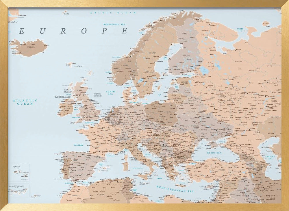 Neutral detailed map of Europe Poster