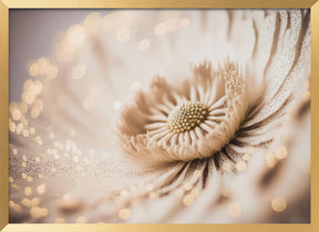 Beige Coral Flower Poster