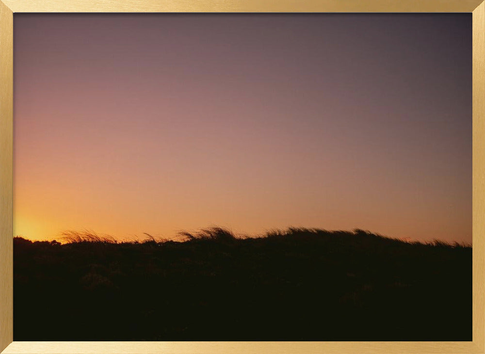 Dune Grass Sunset Horizontal Poster