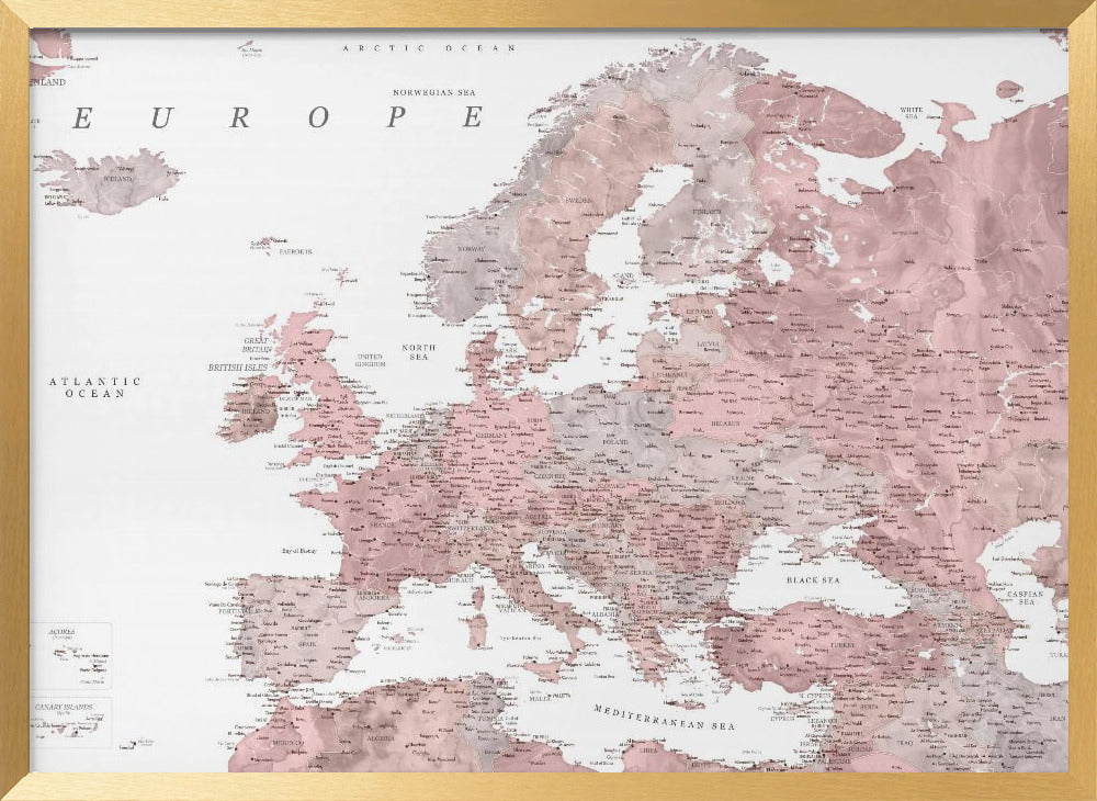 Piper detailed map of Europe Poster