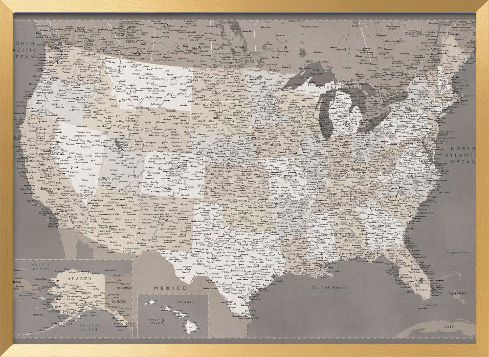 Highly detailed map of the United States, dark taupe Poster