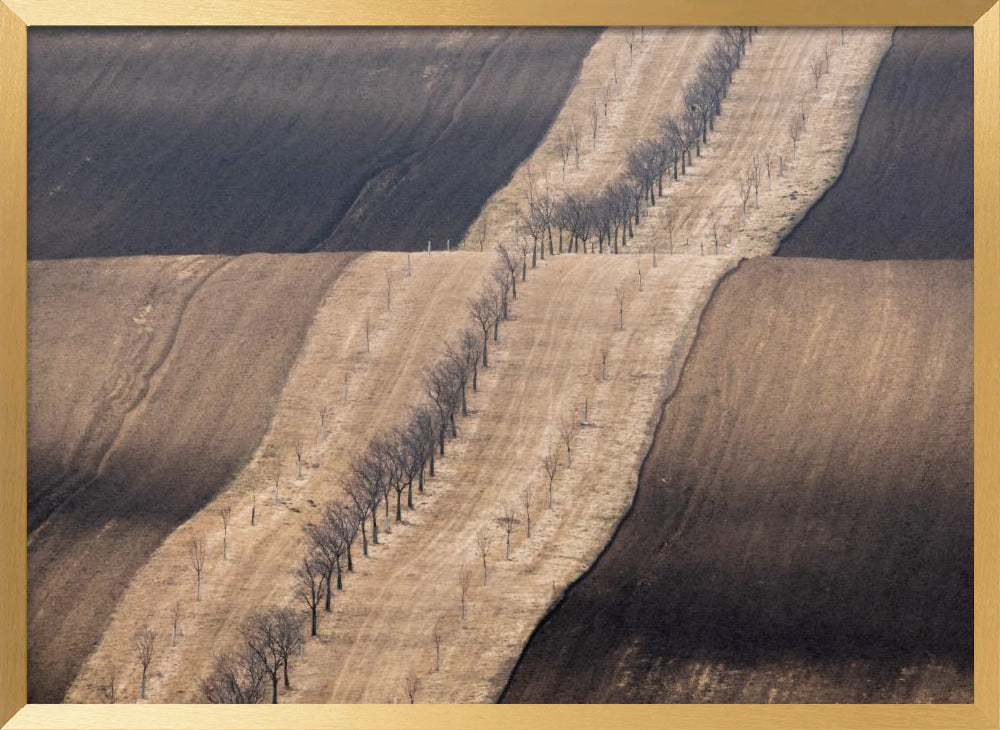 Moravian fields Poster