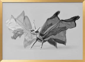 Balerina Butterfly Dance Poster