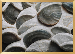 Sea Shells Detail No 5 Poster