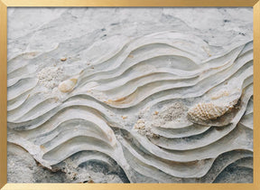 Sea Shell Detail No 6 Poster