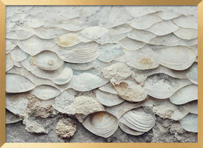 Sea Shells Detail No 7 Poster