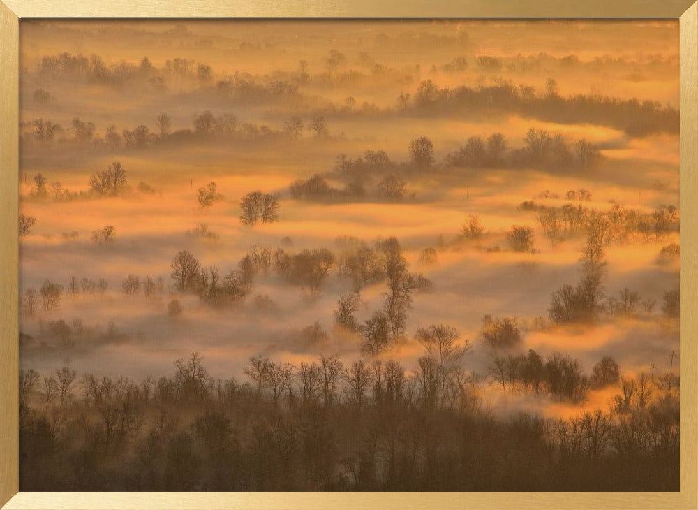 Morning mists Poster