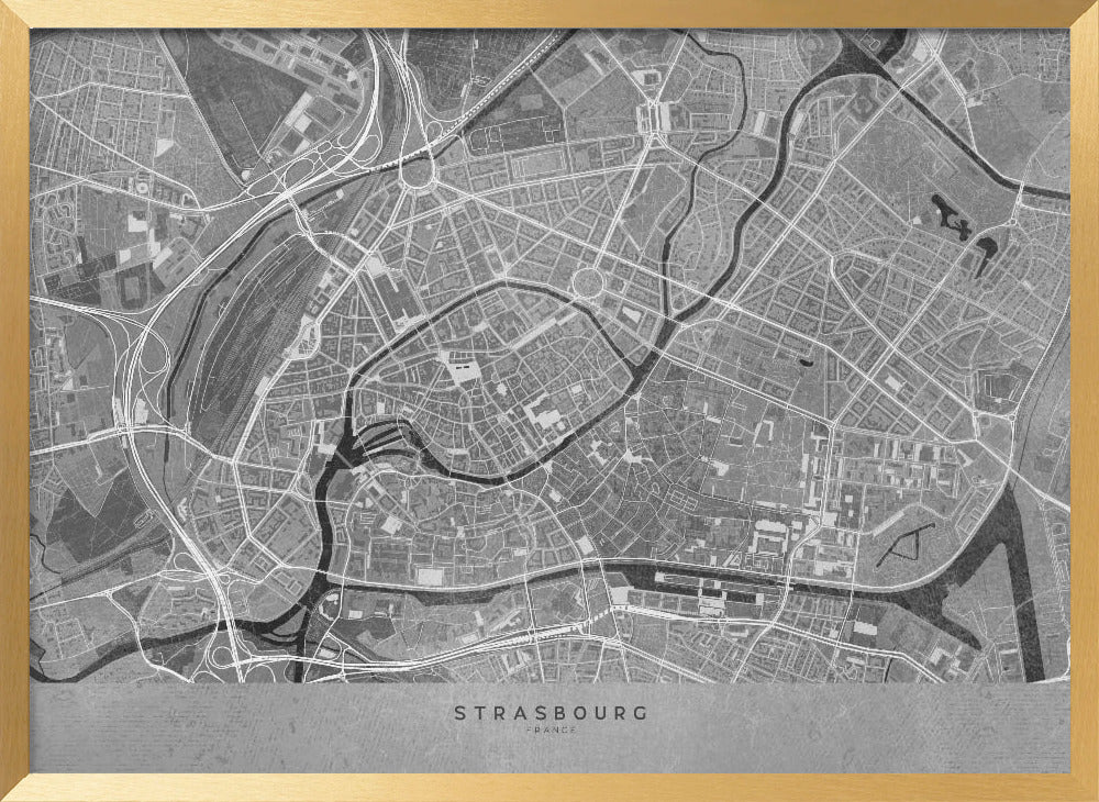 Gray vintage map of Strasbourg downtown France Poster