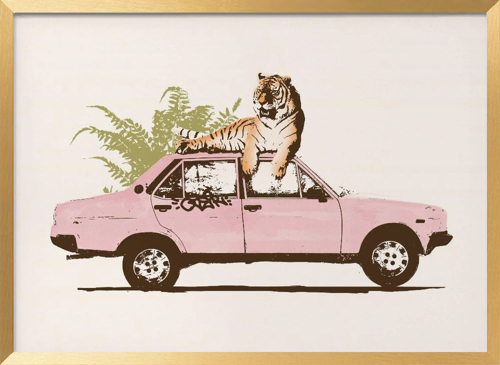 Tiger On Car Poster