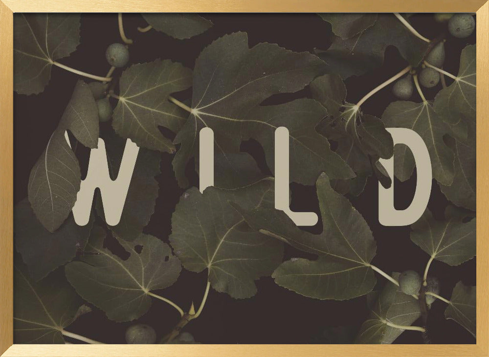 Wild Nº2 Poster