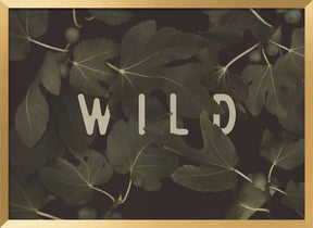 Wild Nº1 Poster