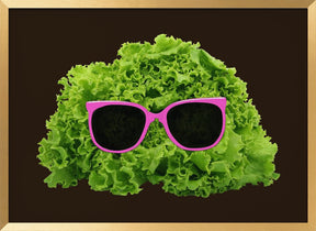 Mr Salad Poster