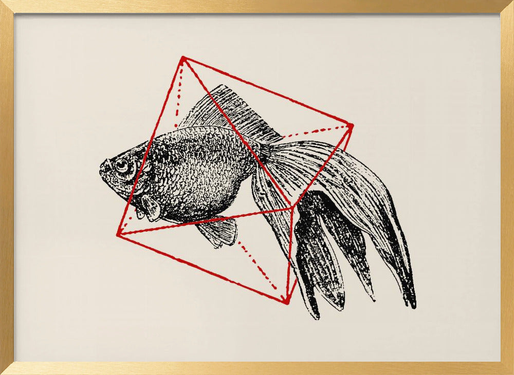 Fish In Geometrics Nº3 Poster