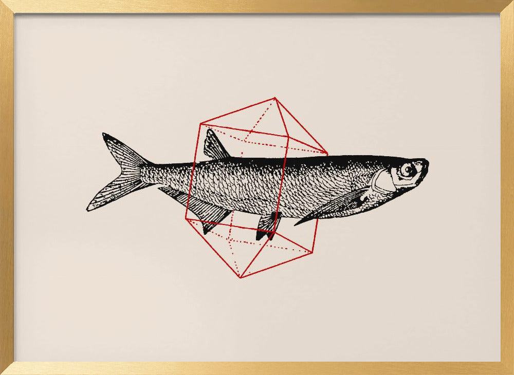 Fish In Geometrics Nº2 Poster