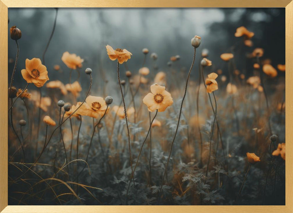 Orange Poppy Poster