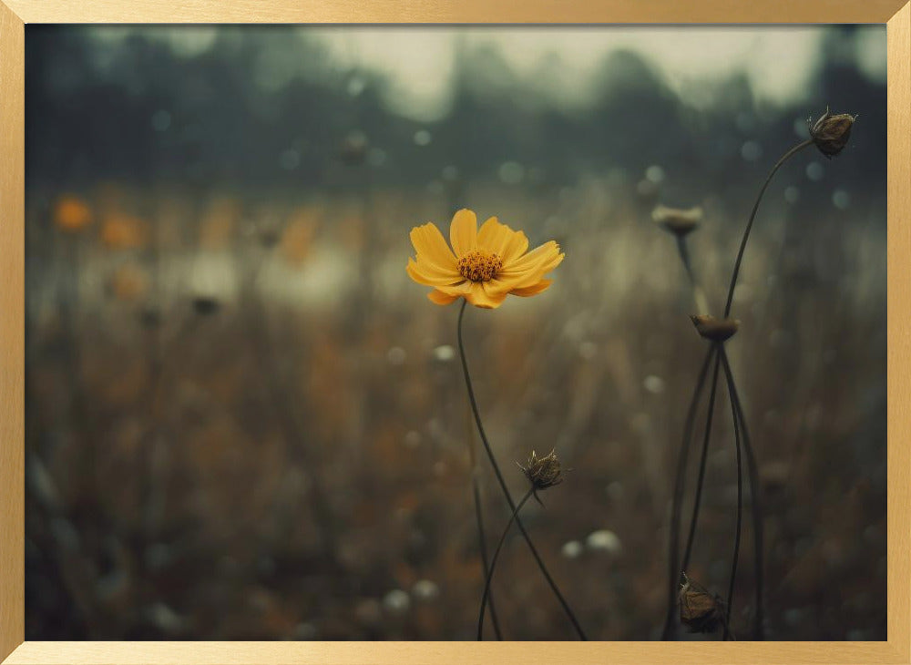 Yellow Flower Poster