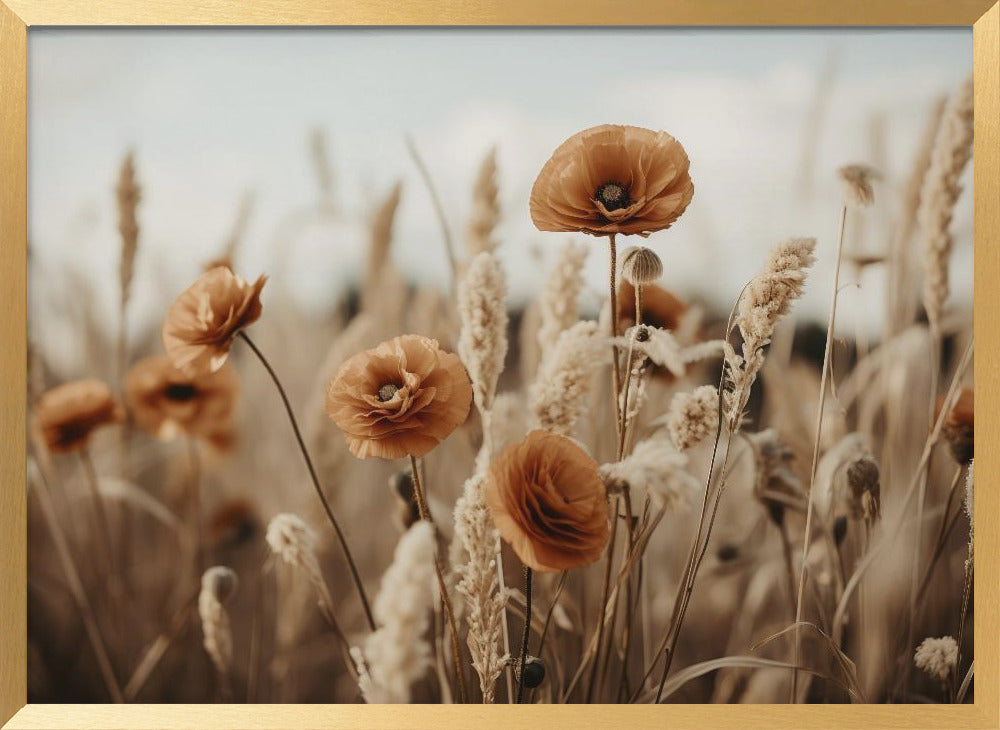 Orange Poppy Field Poster