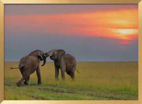 Dancing at The Sunset Poster