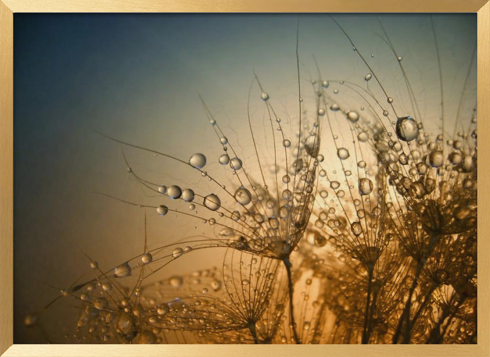 Tender is the Night Poster