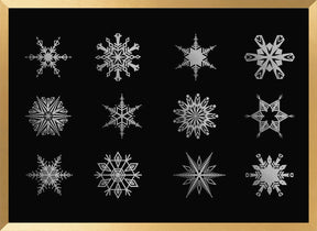 Twelve geometric snowflakes in black Poster