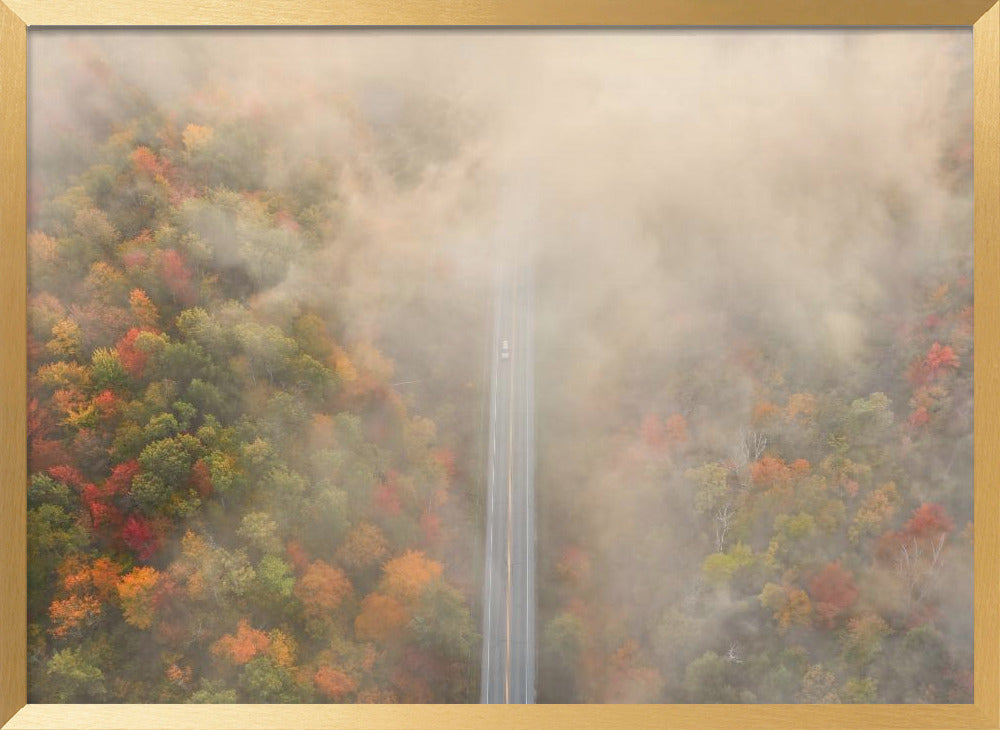 Road through Autumn Forest Poster